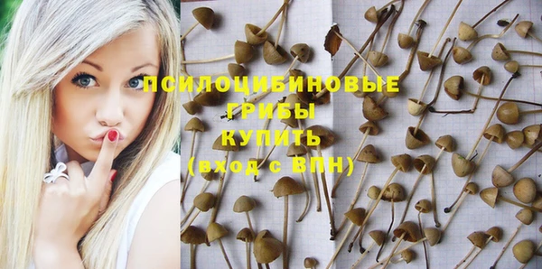 2c-b Баксан