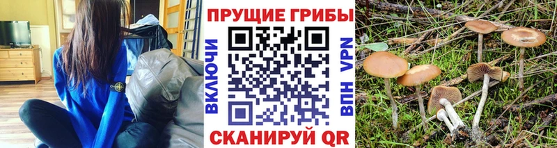 Галлюциногенные грибы мицелий  MEGA ONION  Бор 